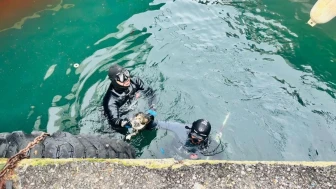 İzmir İtfaiyesi iskele altında mahsur kalan kediyi başarıyla kurtardı