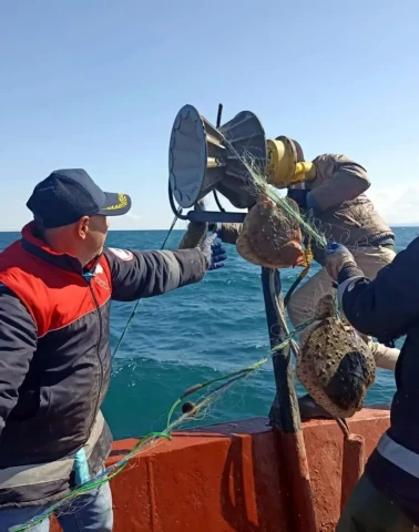 Karadeniz’e kaçak kalkan avı için bırakılan 44 bin metre ağ toplandı