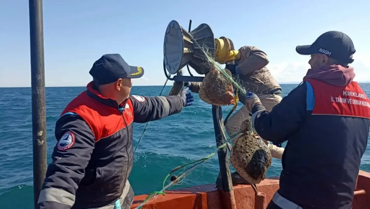 Karadeniz’e kaçak kalkan avı için bırakılan 44 bin metre ağ toplandı